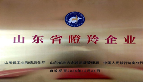 慶祝深藍(lán)機(jī)器榮獲山東省2021年度“瞪羚企業(yè)”榮譽(yù)稱號(hào)