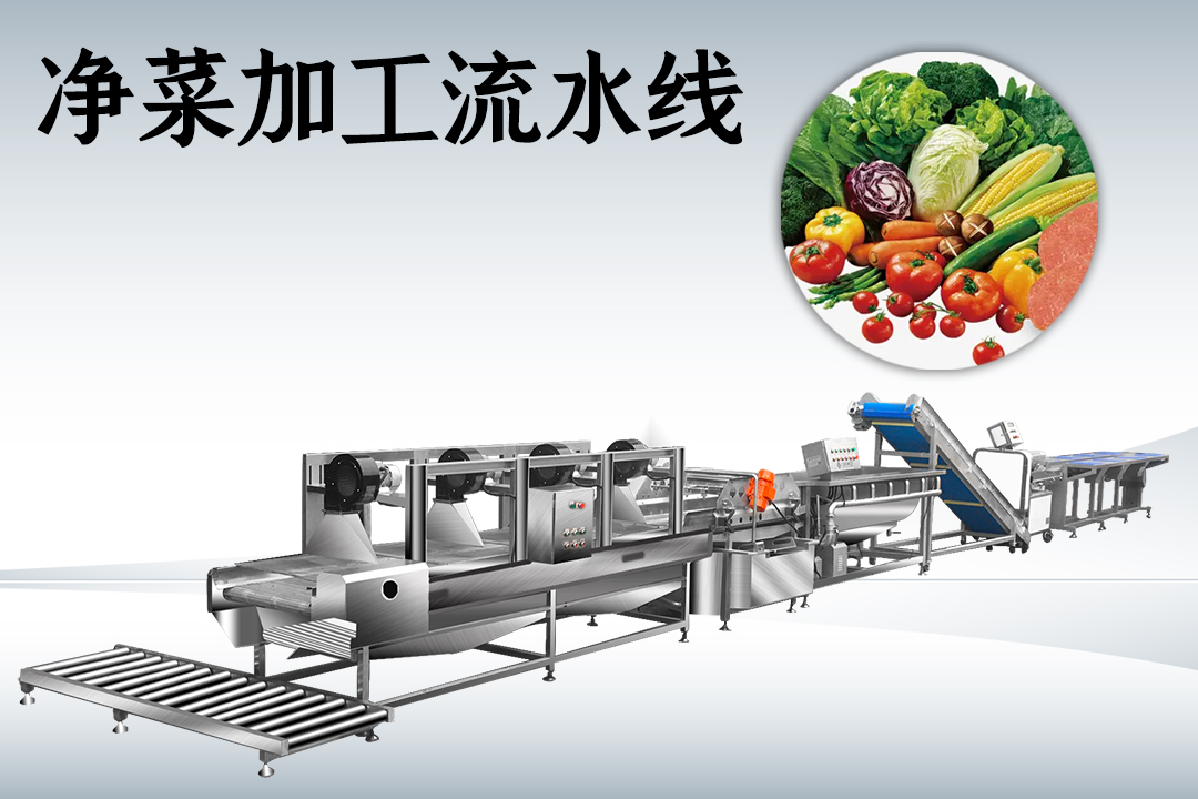 凈菜加工流水線(xiàn)